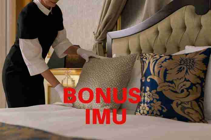 BONUS IMU