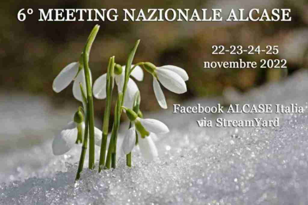 ALCASE