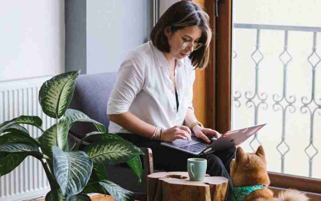Smart working regole