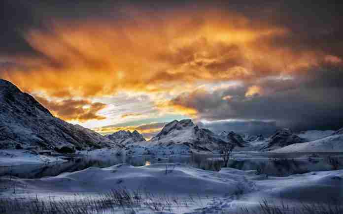 neve